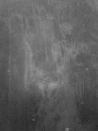 "Cosmogony" | DER GREIF