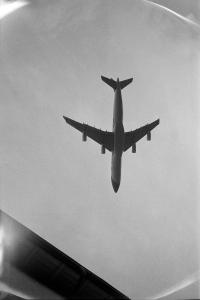From the series "ShadowBox" | DER GREIF