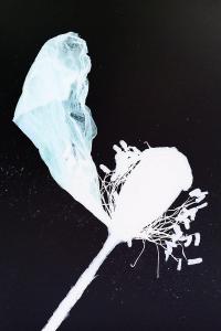 Zoé Elia Menthonnex, from the series "Zombie" | DER GREIF