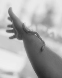 Somewhere Less Than Heaven | DER GREIF