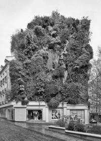 © Pino Musi | DER GREIF