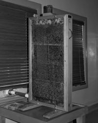"A Wooden Box of Working Bee" | DER GREIF
