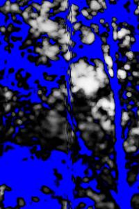 "1162017" | DER GREIF