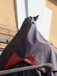 From the series "Conditions of Production" | DER GREIF