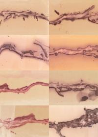 "Growing fragments", Mänttä, Finland | DER GREIF