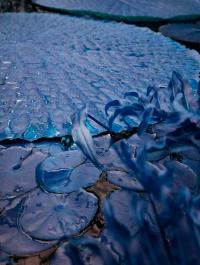 This Blue Exists | DER GREIF