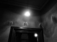 "Untitled" | DER GREIF