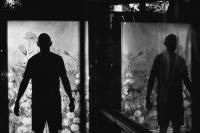 "Night Meadow", Almaty, Kazakhstan, 2023 | DER GREIF