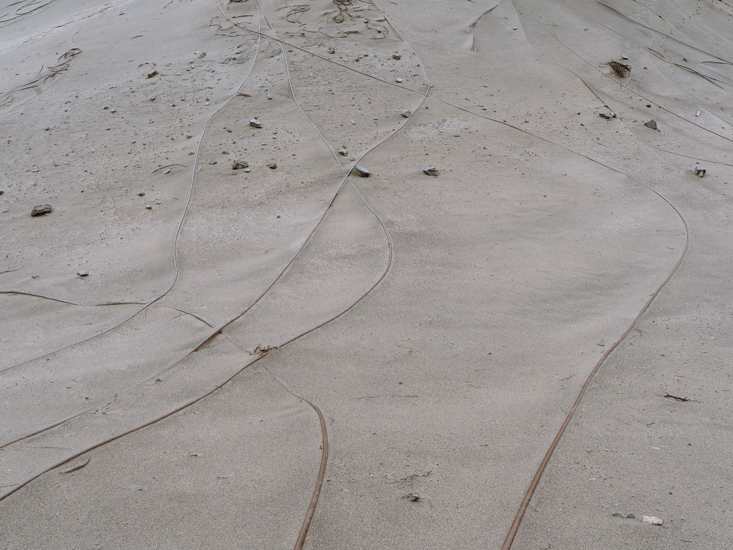 "If Theia-4" from the series "If Theia" — Igor Trepeshchenok