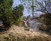 "Diva Watering" | DER GREIF