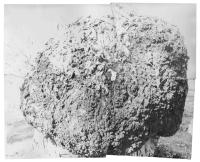 "Neither they nor Their parents sinned", Mundulla, Australia, 2025 | DER GREIF