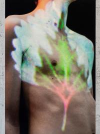 "Growth Patterns" | DER GREIF