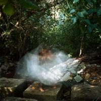 The Appeasement. | DER GREIF