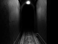 "Hallway" | DER GREIF