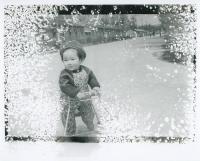 Innocence Amidst Decay | DER GREIF