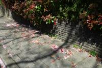 From the series "Beyond Fragments" | DER GREIF