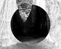 From the series "VOIDS", Northern California, United States, 2025 | DER GREIF