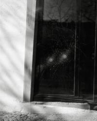 "Doppelbelichtung (Schönhauser Allee I)" Berlin, Germany, 2024 | DER GREIF