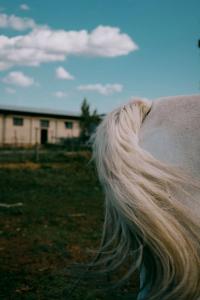 Domenico Matera, "Clouds", Southern Italy, 2024 | DER GREIF