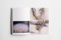 "Vorwiegend festkochend / Sprouts & Skins" photobook | DER GREIF