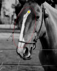 Asteroid 2009 FJ1 | DER GREIF