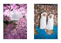 © Lavinia Parlamenti and Manfredi Pantanella | DER GREIF