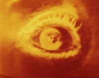 Kei Ito, From "Eye Who Witnessed", NYC, United States of America | DER GREIF