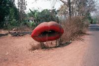 From the series "Calmistery" | DER GREIF