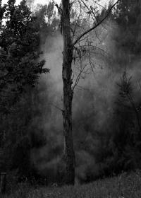 Clara Sartor, April in September | DER GREIF