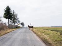 From the series "Muss ja. Und selbst?" | DER GREIF