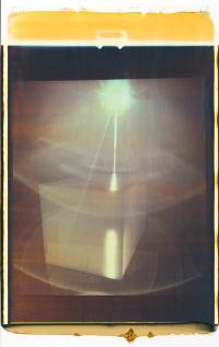 From the series "Metanoia" | DER GREIF