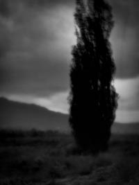 From the series "Presence" | DER GREIF