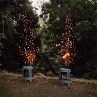 The temperament of the Asuras (demigods) | DER GREIF