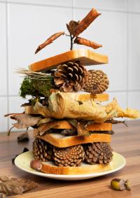 Thomas Nondh Jansen, "Autumn sandwich" from the series "Everyday" | DER GREIF