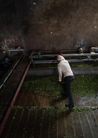 Im Himmel, da gibt’s kein Bier | DER GREIF