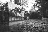 Andrea Alkalay, from the series "Territorios Urbanos" | DER GREIF
