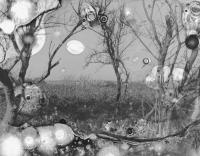 Microbial Landscape 1 | DER GREIF