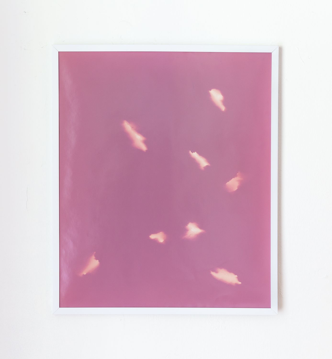 "Bark Photogram [3]" from the series "Shedding my Bark" — Roni Aviv