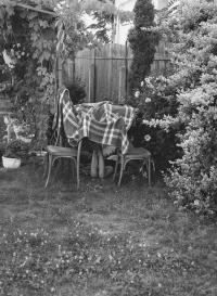 From "The Clear Image of Paradise" | DER GREIF