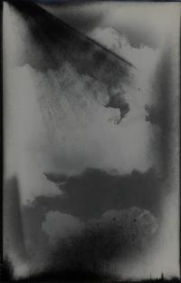 From the series "Metanoia" | DER GREIF