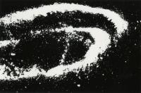 "Dad's Photogram #2" from the series "Dad's Photograms," Brooklyn, New York, USA, 2026 | DER GREIF