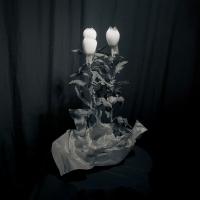 "Awakening" | DER GREIF