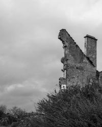 Untitled | DER GREIF