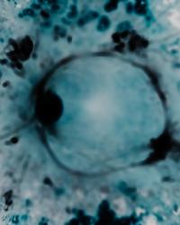 I can't bear for you to see me cry (WIP) | DER GREIF