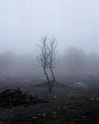 Massimiliano Corteselli, Contrapasso | DER GREIF