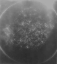 "Naked Eye" | DER GREIF