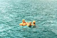 In the Black Sea | DER GREIF