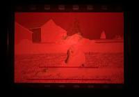 Courtesy of Adali Schell | DER GREIF