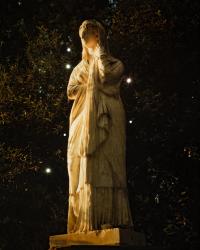 Pleiades | DER GREIF