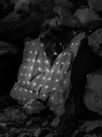 From "Front End" series | DER GREIF